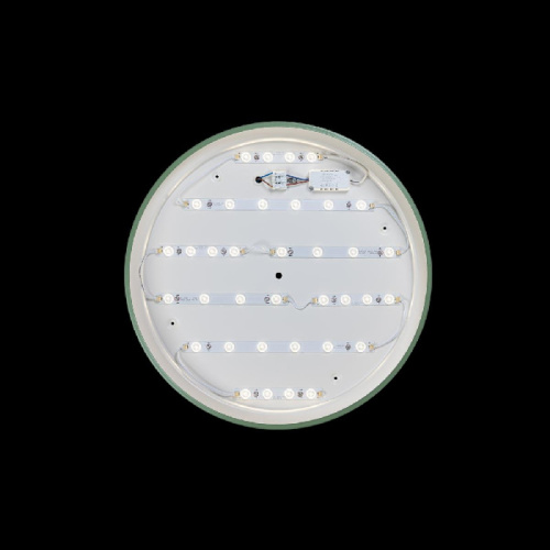 Потолочный светильник Axel 10001/36 Green фото 2