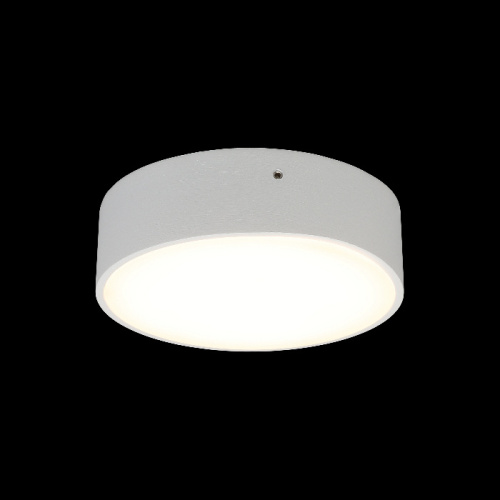 Потолочный светильник Evon APL.0113.09.12 фото 2