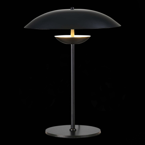 Интерьерная настольная лампа Armonico SL6502.404.01 фото 3