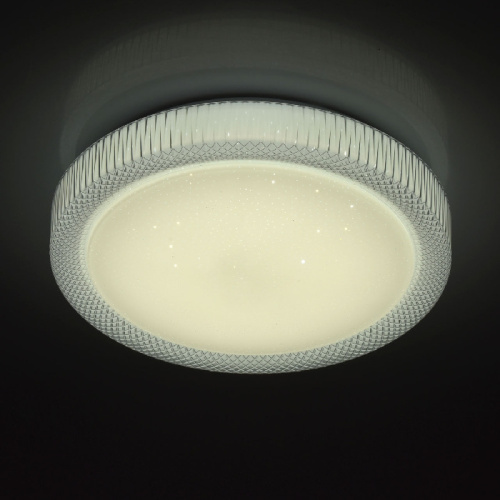 Потолочный светодиодный светильник MW-Light Ривз 4 674013901 фото 4
