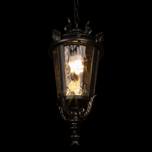 Уличный светильник подвесной Verona 100003P фото 3