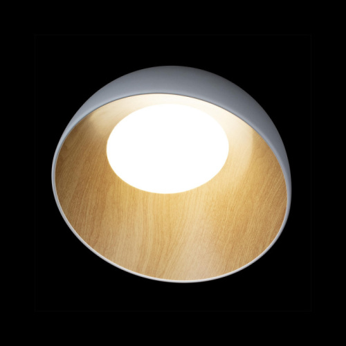 Потолочный светильник Egg 10197/350 White фото 2