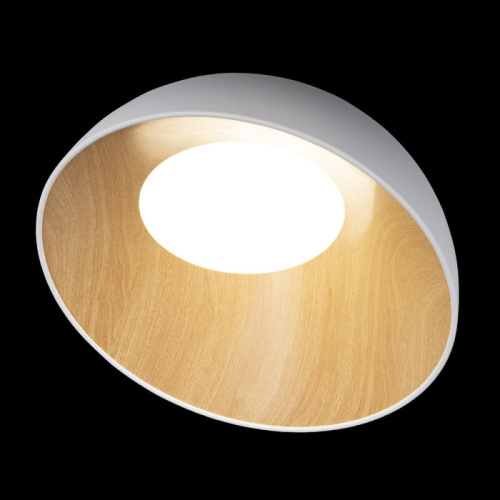 Потолочный светильник Egg 10197/500 White фото 2