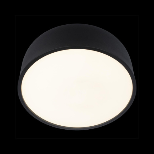 Потолочный светильник Axel 10201/350 Black фото 2