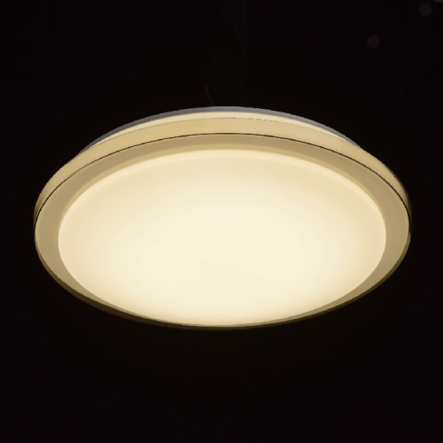 Потолочная светодиодная люстра MW-Light Ривз 674012601 фото 4