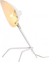 Интерьерная настольная лампа Spruzzo SL305.504.01