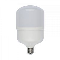 Лампочка светодиодная  LED-M80-30W/DW/E27/FR/S картон