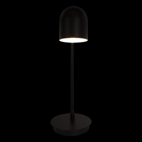 Интерьерная настольная лампа Tango 10144 Black фото 3