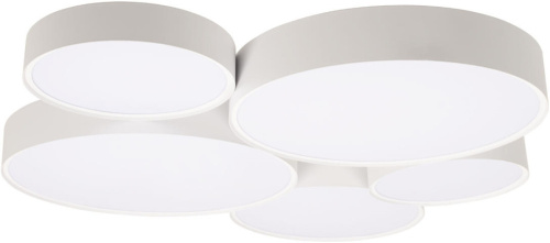 Потолочный светильник Drum 10218 White