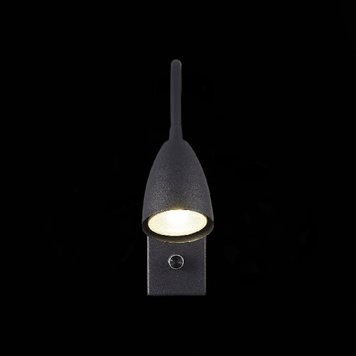 Настенный светильник Amio SL1014.401.01 фото 2