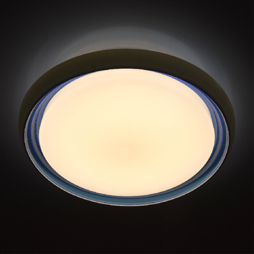 Потолочная светодиодная люстра MW-Light Ривз 674011501 фото 4