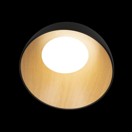 Потолочный светильник Egg 10197/350 Black фото 2