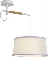 Настенно-потолочный светильник Eureka 3005-1P