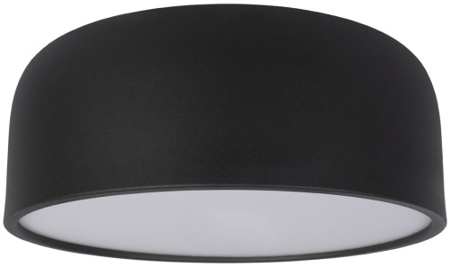 Потолочный светильник Axel 10201/350 Black