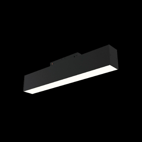Трековый светильник Track lamps TR012-2-12W3K-B фото 3