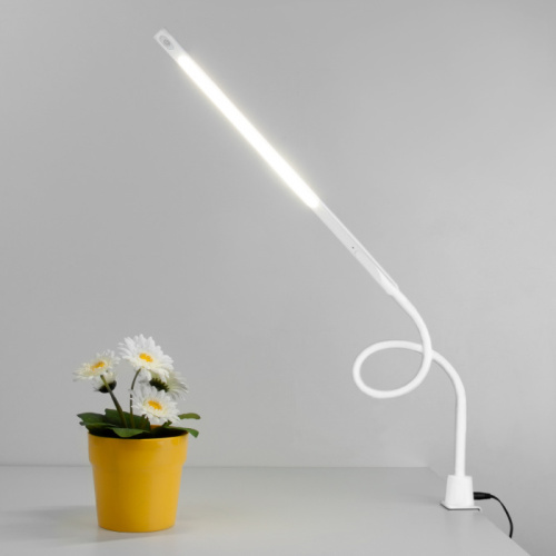Офисная настольная лампа Flex 80429/1 белый фото 2