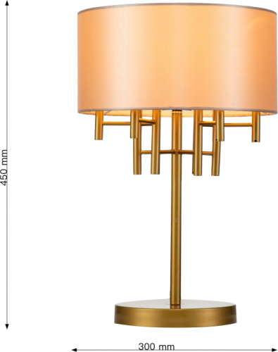 Интерьерная настольная лампа Cosmo 2993-1T фото 2