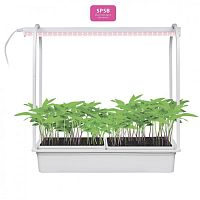 Светильник для растений Minigarden ULT-P54-10W/SPSB IP20 White