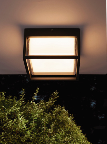 Потолочный светильник уличный Chamonix 7060 фото 2